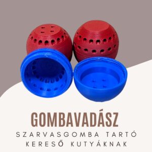 Szarvasgomba-keresés kutyával – hogyan vághatsz bele, és miért fontos egy jó szarvasgomba tartó?